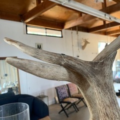 シカ角　インテリア照明　シャンデリア　ヴィンテージ