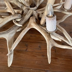 シカ角　インテリア照明　シャンデリア　ヴィンテージ