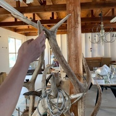 シカ角　インテリア照明　シャンデリア　ヴィンテージ