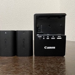 ❗️最終値引き価格❗️EOS80d フルセット