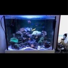 60×45×45オルカオーバーフロー水槽セット