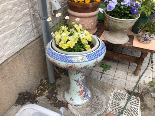 大きな鉢です。寄せ植えやメダカの飼育にもいいですよ。