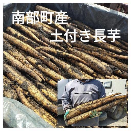 受付中 三戸郡南部町産土付き長芋4キロ 芋屋 澤 剣吉の食品の中古あげます 譲ります ジモティーで不用品の処分
