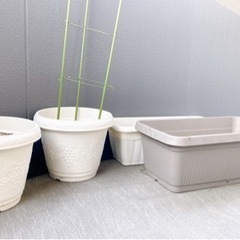家庭菜園　土付き　4つの鉢