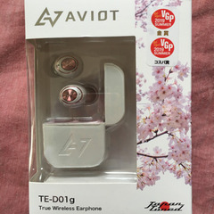 AVIOT TE-D01G-PW ワイヤレスイヤホン