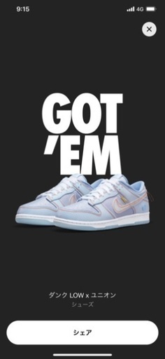 NIKE ユニオン　靴