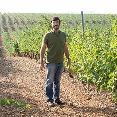 本場スペインのワイン造り手さんと繋がるオンラインセミナー - 文京区