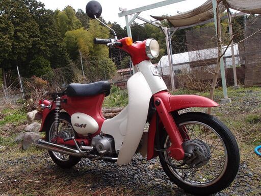 リトルカブ