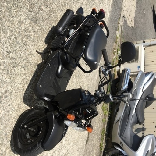ホンダ ズーマーFI 好調 - pa-ternate.go.id