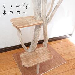 取り引き中 流木キャットタワー4段 No 77 Whitebeach 薩摩川内の家具の中古あげます 譲ります ジモティーで不用品の処分