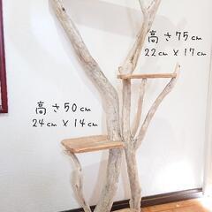 取り引き中 流木キャットタワー4段 No 77 Whitebeach 薩摩川内の家具の中古あげます 譲ります ジモティーで不用品の処分