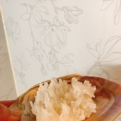 今週/タダ❗️中国産水晶ｸﾗｽﾀｰ ＋貝の入れ物