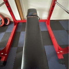 一年半使用　ファイティングロード　パワーラックTRUST トラスト　3点セット