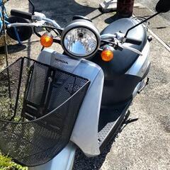 ホンダ  Today  バイク 50cc