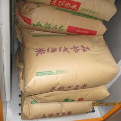 キヌヒカリ玄米一袋３０Kg（２０２１年秋収穫：低温貯蔵）