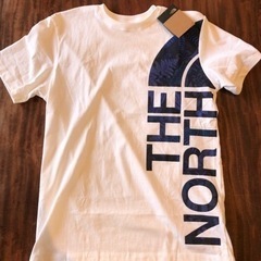 the north face ノースフェイス tシャツ 海外限定M