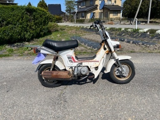 HONDAシャリー50 角目オリジナル HONDAシャリー50 角目オリジナル 【公式通販】