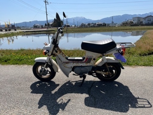 HONDAシャリー50 角目オリジナル 【公式通販】