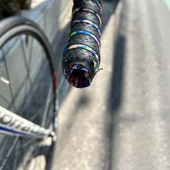 美品】 コラテック コロネス 460mm
