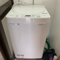 SHARP 洗濯機 5.5kg ES-GE5D
