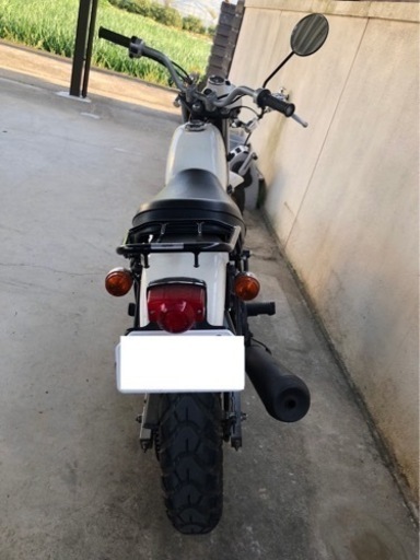 ホンダ エイプ 50(学割あり)