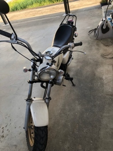 ホンダ エイプ 50(学割あり)