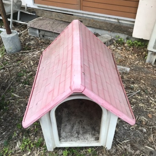 低価通販 ヤフオク 新品 ボブハウスl 新作大人気