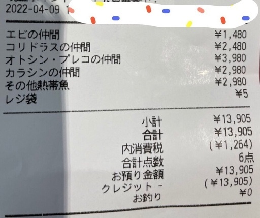 熱帯魚