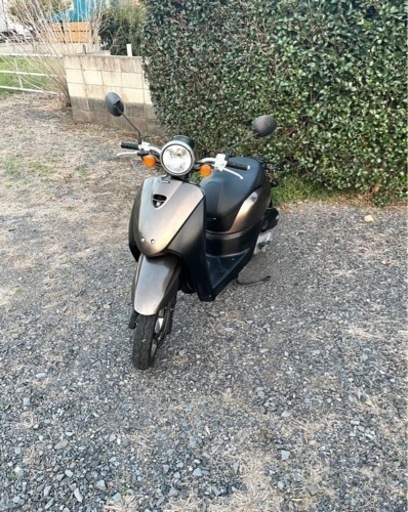 240.  動画あり　ホンダ　AF67トゥデイ　原付　バイク　50cc   車体
