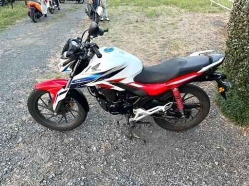 242. 動画あり　ホンダ　CBF125R  小型　バイク　125cc  車体 242. 動画あり ホンダ CBF125R 小型 バイク 125cc 車体 【公式通販】