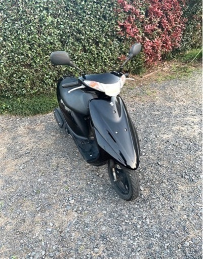 248. 動画あり スズキ アドレスV50 原付 バイク 50cc 車体 | skvp.co.uk