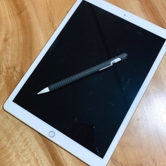［交渉中］iPad Pro /12.9ｲﾝﾁ/256G/Wi-F...