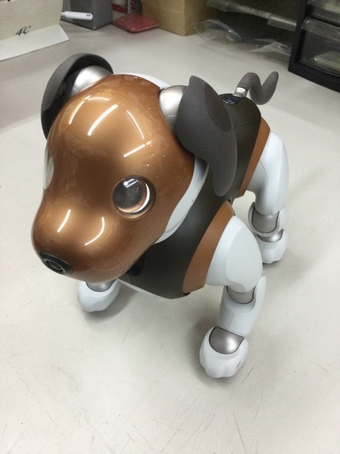 店頭販売のみ】︎レア︎ SONY aibo アイボ ERS−1000 2019年限定カラー ...