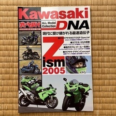 Kawasaki Z ism 2005