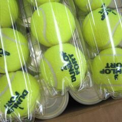 DUNLOP テニスボール FORT 4個入り30缶 硬式用 ダンロップ フォート 120個 札幌市手稲区