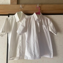 学生服　半袖シャツ　２枚セット