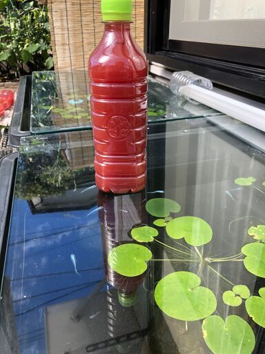 メダカ稚魚 針子 等の餌用超濃厚psb 光合成細菌 500ml Ken 瀬谷のその他の中古あげます 譲ります ジモティーで不用品の処分 メダカ稚魚 針子 等の餌用超濃厚psb 光合成細菌 500ml Ken 瀬谷のその他の中古あげます 譲ります ジモティーで不用品の処分