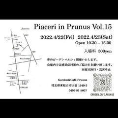 Piaceri in Prunus Vol.15  に初出店します！！ - 東松山市
