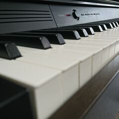 電子ピアノ CASIO カシオ privia プリヴィア PX-750BN 2013製 動作品