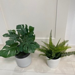 決まりました　IKEA 人工観葉植物　フェイクグリーン　2個SET