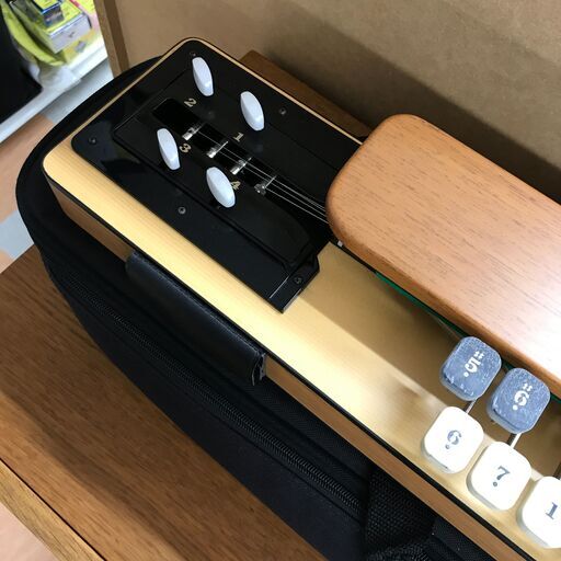 大正琴 ライリッシュ LPS50 ケース付き ※現状販売品 - その他