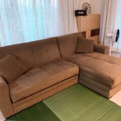 フランスベッドのL字型ソファーベッド 大容量収納つき AG-Atla