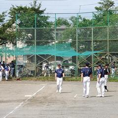 ソフトボール⚾やりませんか？