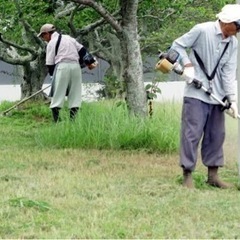 納得価格庭整地‼️草刈り整地‼️エクステリア工事承り中‼️ − 徳島県