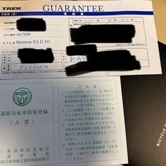 新潟市内渡しTREK マドン6.5 総額100万円