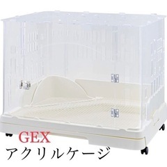 うさぎ GEX ラビんぐ スマートルームクリア【アクリル製ラビット