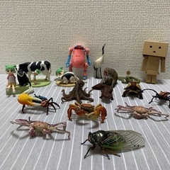 動物フィギュア色々