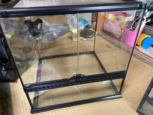 爬虫類の水槽B