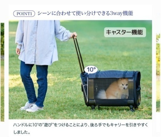3WayキャリーバッグNEW L 12kgまで