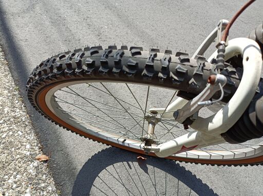 コールマン 18段変速マウンテンバイク ダメージ小